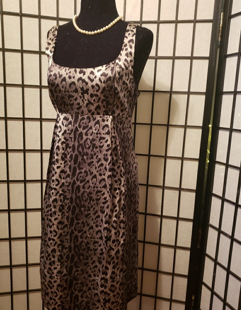 GORGEOUS The Limited 100% Silk Dress